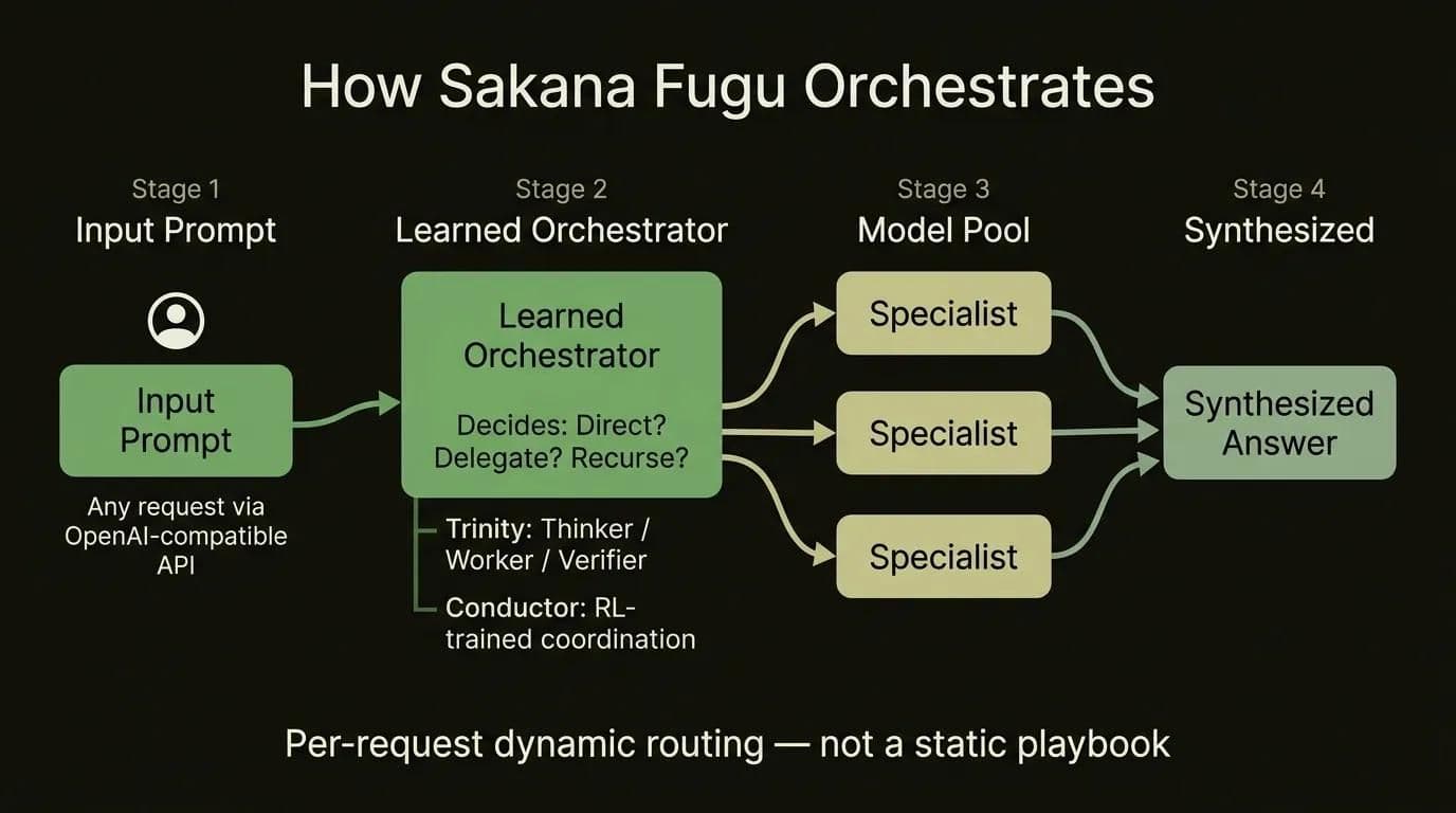 Flowchart showing how Sakana Fugu's learned orchestrator routes, verifies, and synthesizes across a specialist model pool